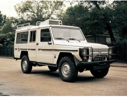 P4 (1981–1993)