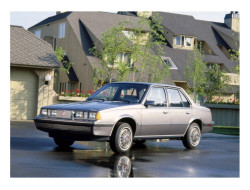 Firenza (1982–1987)