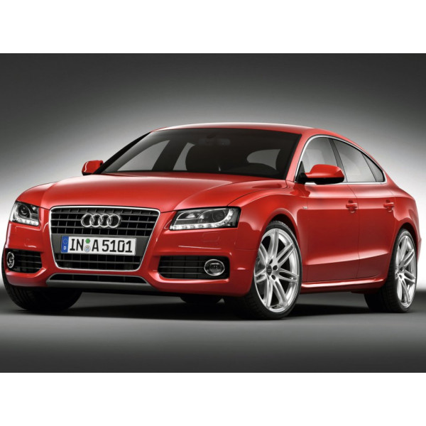 Внутренняя арка/подкрылок для Audi A5 B8