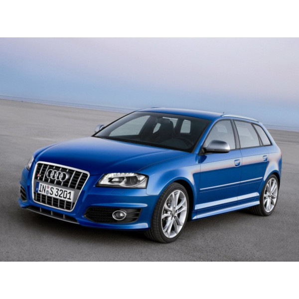 Внутрішня арка/підкрилок для Audi S3 Sportback 8P