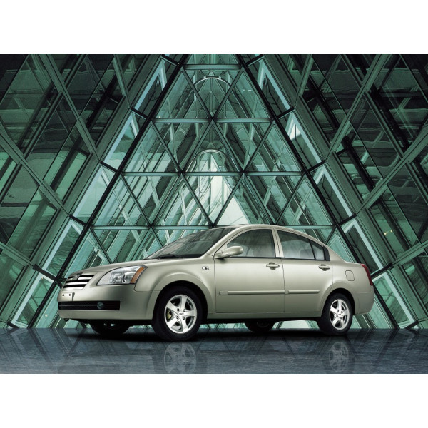 Внутрішня арка/підкрилок для Chery Fora