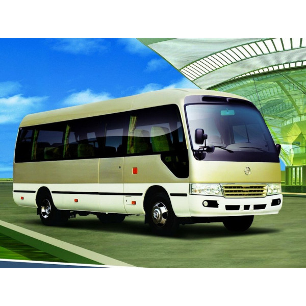 Внутренняя арка/подкрылок для Golden Dragon XML6700
