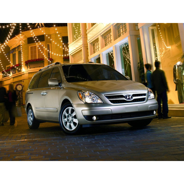 Внутренняя арка/подкрылок для Hyundai Entourage