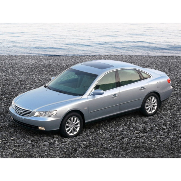 Внутрішня арка/підкрилок для Hyundai Grandeur HG (2011–2016)