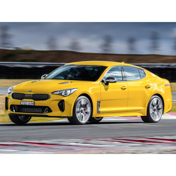 Внутренняя арка/подкрылок для Kia Stinger (2017–2024)