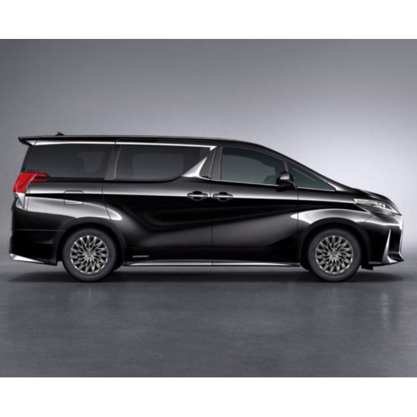 Внутрішня арка/підкрилок для Lexus LM (2019–2023)