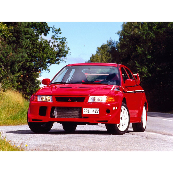 Внутрішня арка/підкрилок для Mitsubishi Carisma GT Evolution VI