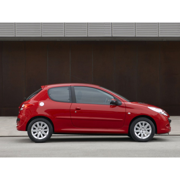 Внутренняя арка/подкрылок для Peugeot 206 +