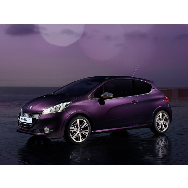 Внутрішня арка/підкрилок для Peugeot 208 I