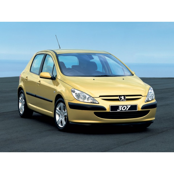 Внутренняя арка/подкрылок для Peugeot 307