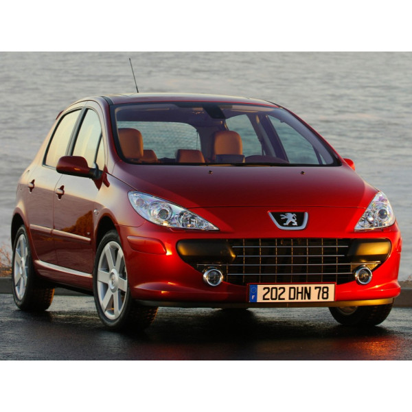 Внутрішня арка/підкрилок для Peugeot 307