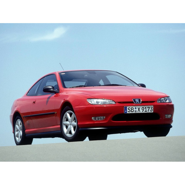 Внутренняя арка/подкрылок для Peugeot 406 Coupe