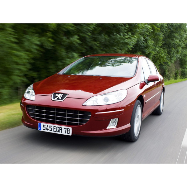 Внутренняя арка/подкрылок для Peugeot 407