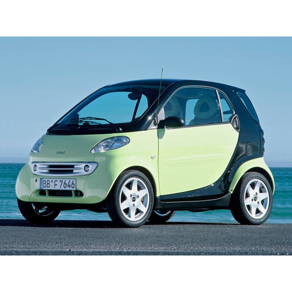 Внутренняя арка/подкрылок для Smart ForTwo 450