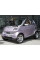 Внутрішня арка/підкрилок для Smart ForTwo 450
