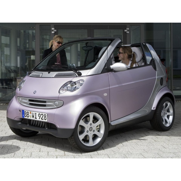 Внутрішня арка/підкрилок для Smart ForTwo 450