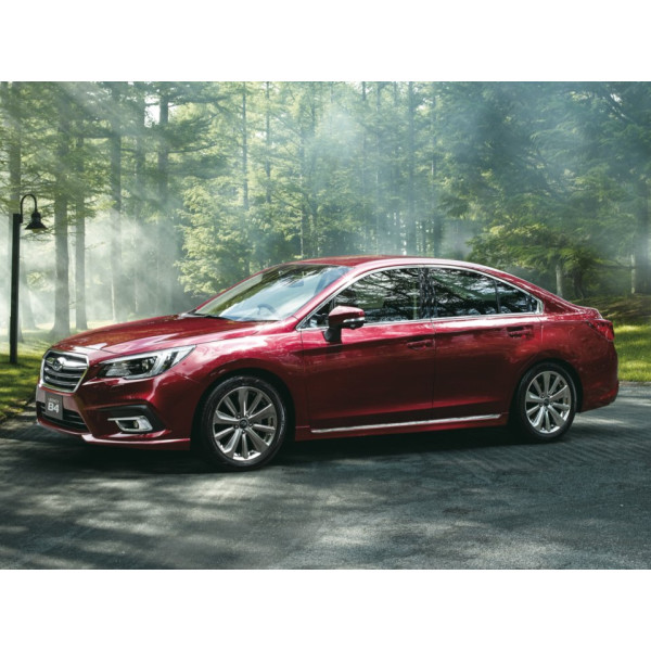 Внутрішня арка/підкрилок для Subaru Legacy VI