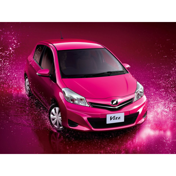 Внутрішня арка/підкрилок для Toyota Vitz P130